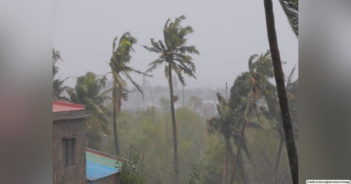 Cyclone Freddy leaves over 300 dead in Southeastern Africa